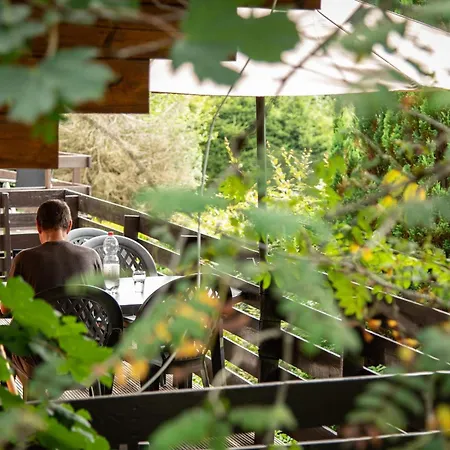 Ardenparks Petitesuisse Renardeau Chalet *